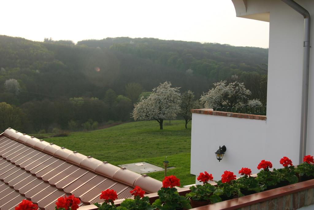 Palos Resort Zalacsány エクステリア 写真